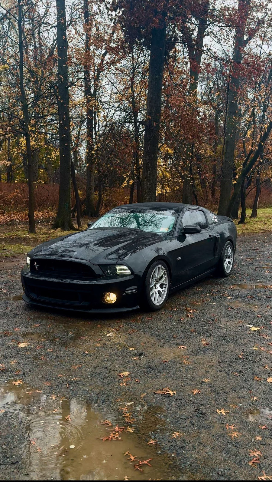 FORD マスタング S197 に APEX EC-7 18x10J ET40 Race Silver を装着