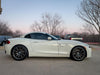 APEX SM-10 装着の BMW Z4 E89 装着例2