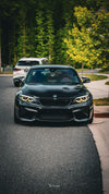 APEX ML-10RT 装着の BMW M2 F87 装着例3