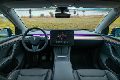 ENHANCE：テスラ用：S3XY STRIP：MODEL 3/MODEL Y