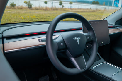 ENHANCE：テスラ用：S3XY STRIP：MODEL 3/MODEL Y