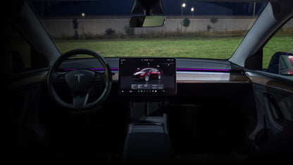ENHANCE：テスラ用：S3XY STRIP：MODEL 3/MODEL Y