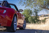 APEX EC-7 装着の BMW Z4 M E85/E86 装着例4
