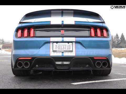 VERUS ENGINEERING(ヴェルスエンジニアリング)A0274A：FORD フォード・マスタング GT350/GT350R：リアディフューザーストレイクキット